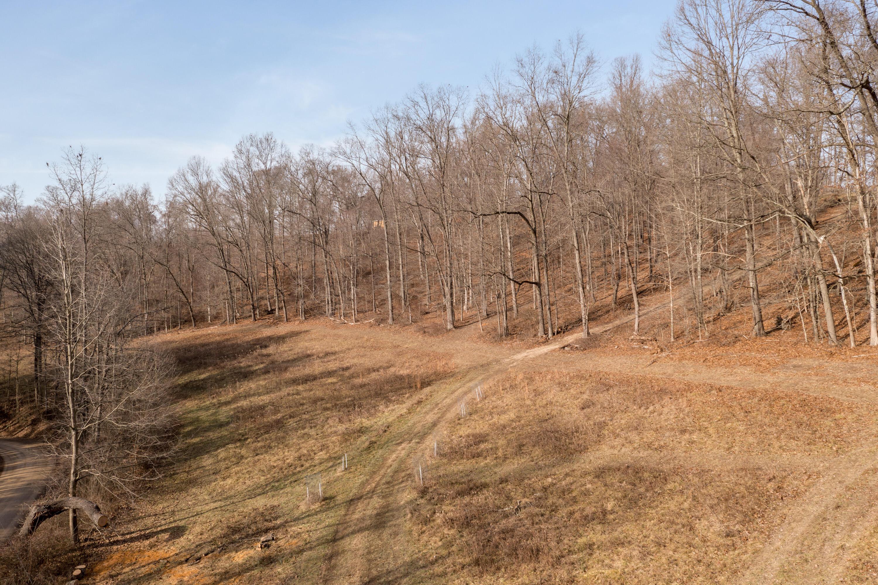0 Proper Road, Unit LOT B Mount Vernon, OH 43050 - Photo 6 of 8 01-Proper Rd