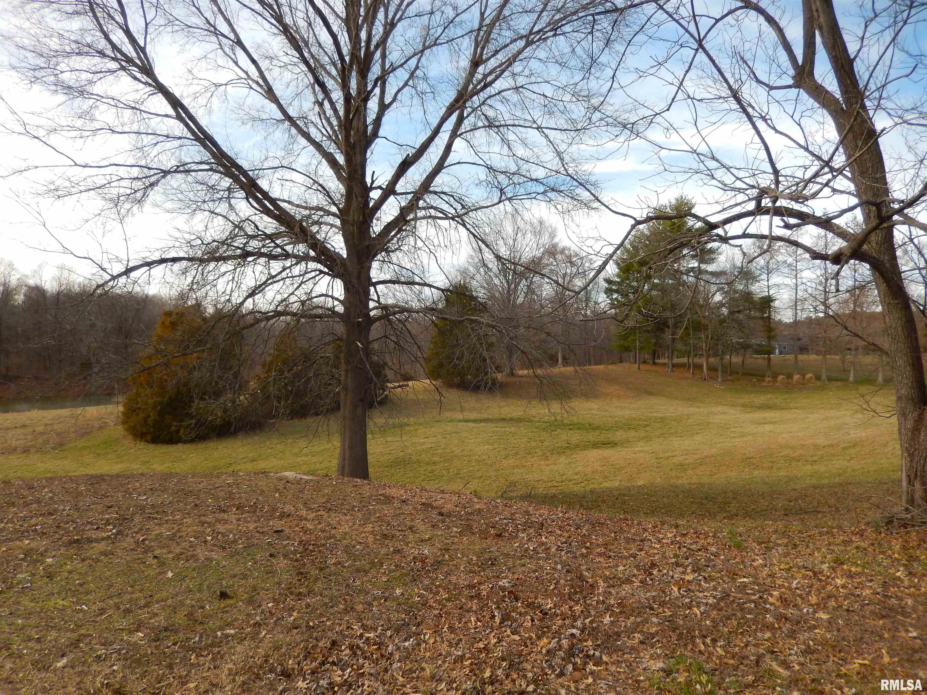 1741 Country Club Road Carbondale, IL 62903 - Photo 12 of 43