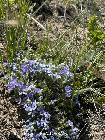 $299,000 | Mountain View Drive, Bondurant, WY 82922