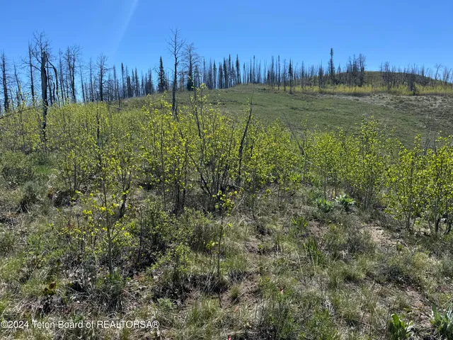 $299,000 | Mountain View Drive, Bondurant, WY 82922