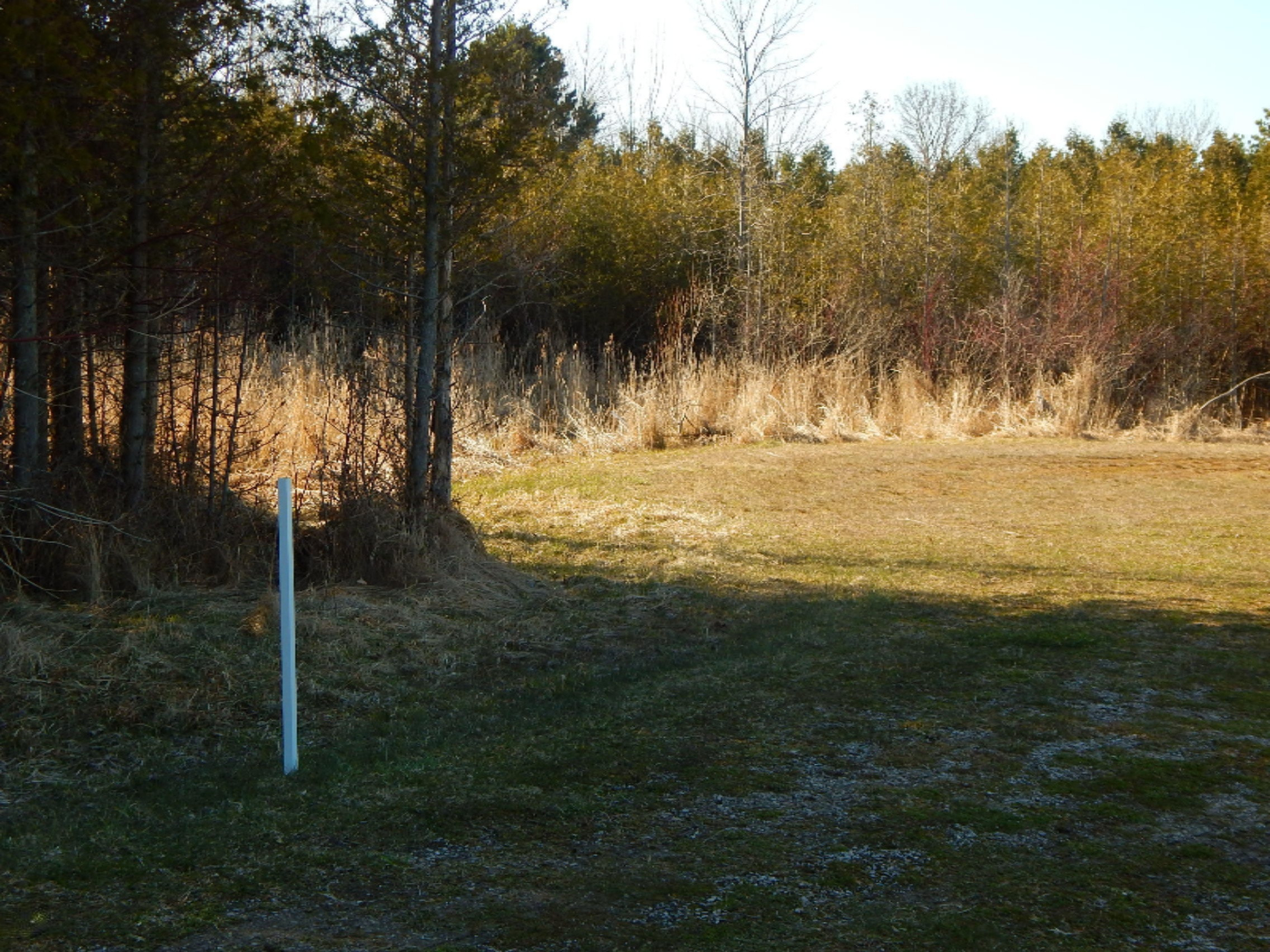 1412 Lakeshore Road Manistee, MI 49660 - Photo 33 of 94 DSCN4467
