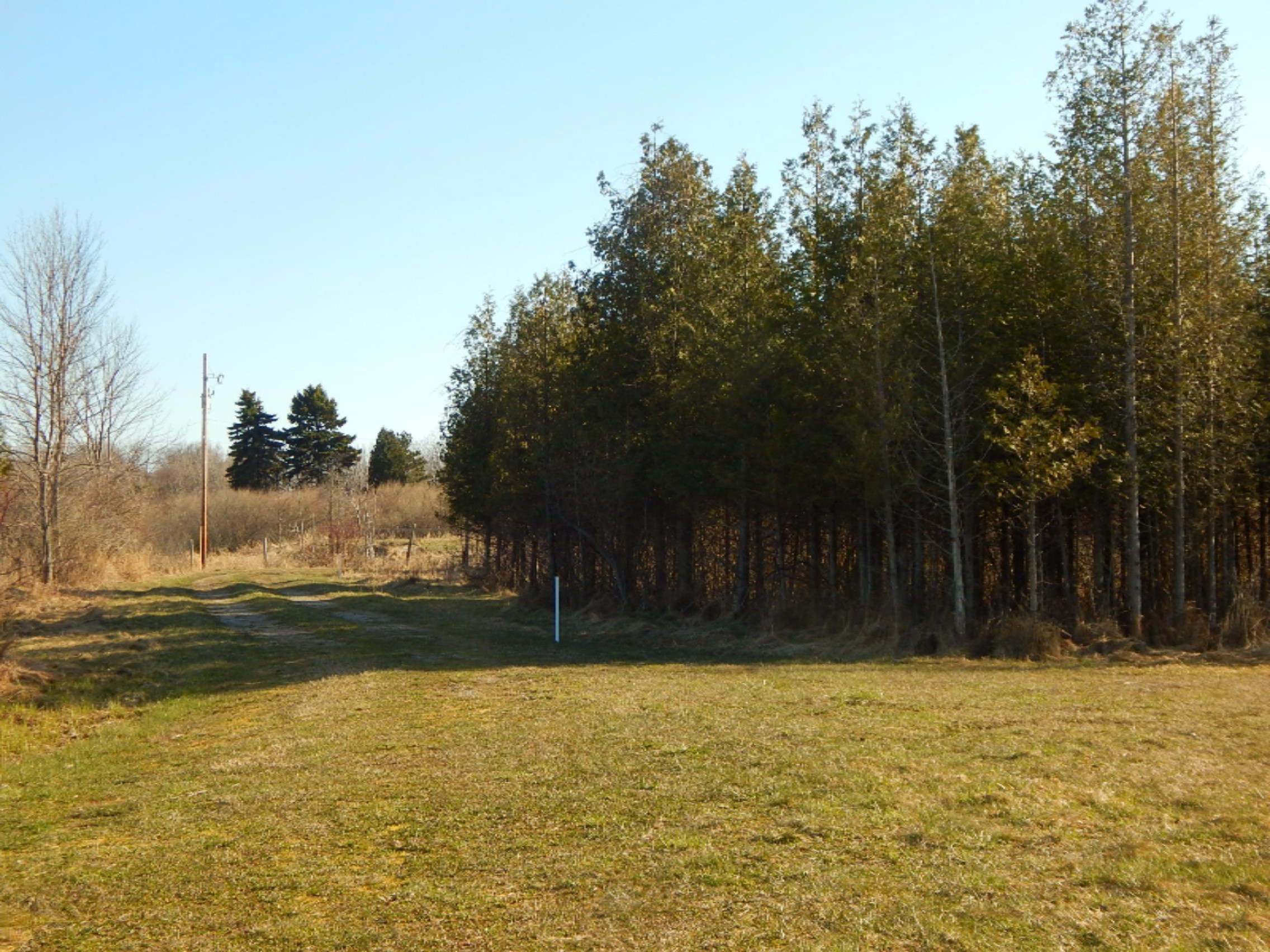 1412 Lakeshore Road Manistee, MI 49660 - Photo 35 of 94 DSCN4469