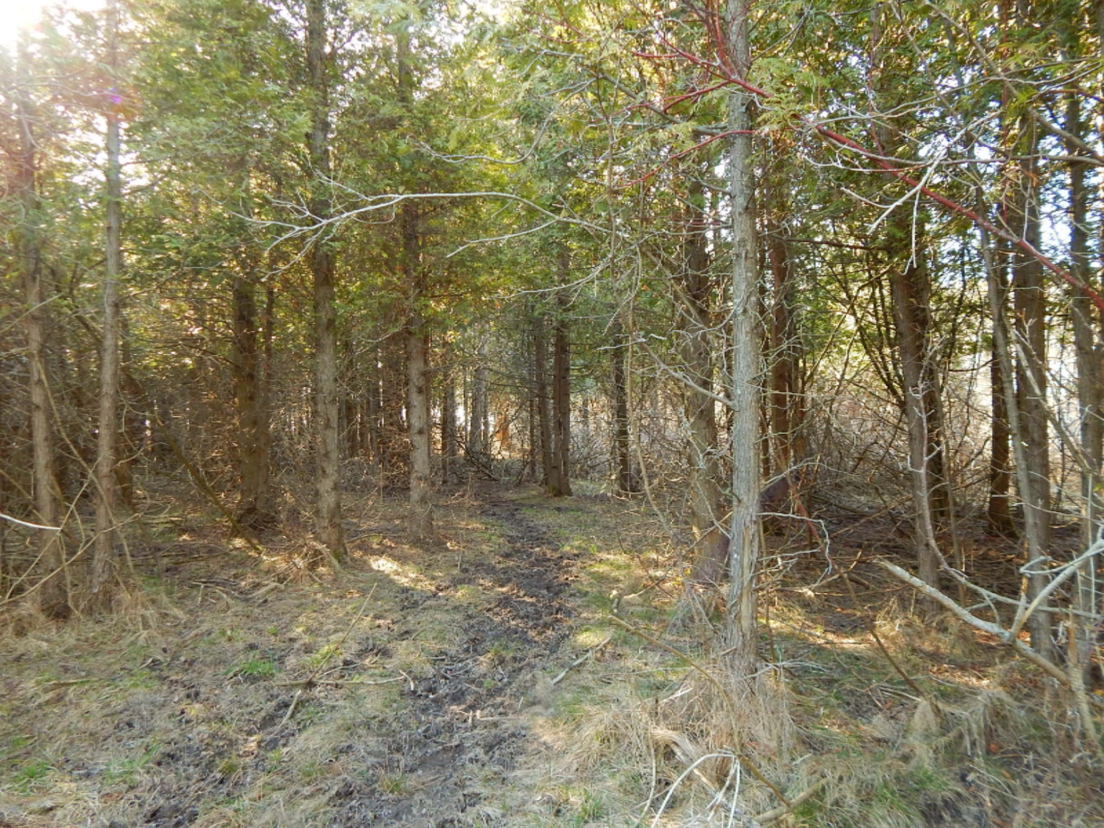 1412 Lakeshore Road Manistee, MI 49660 - Photo 43 of 94 DSCN4481
