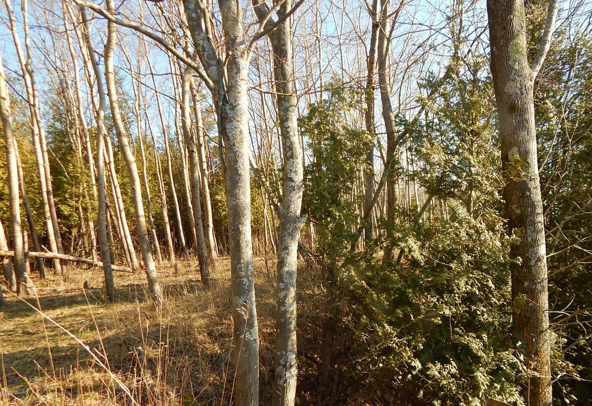 1412 Lakeshore Road Manistee, MI 49660 - Photo 59 of 94 DSCN4512