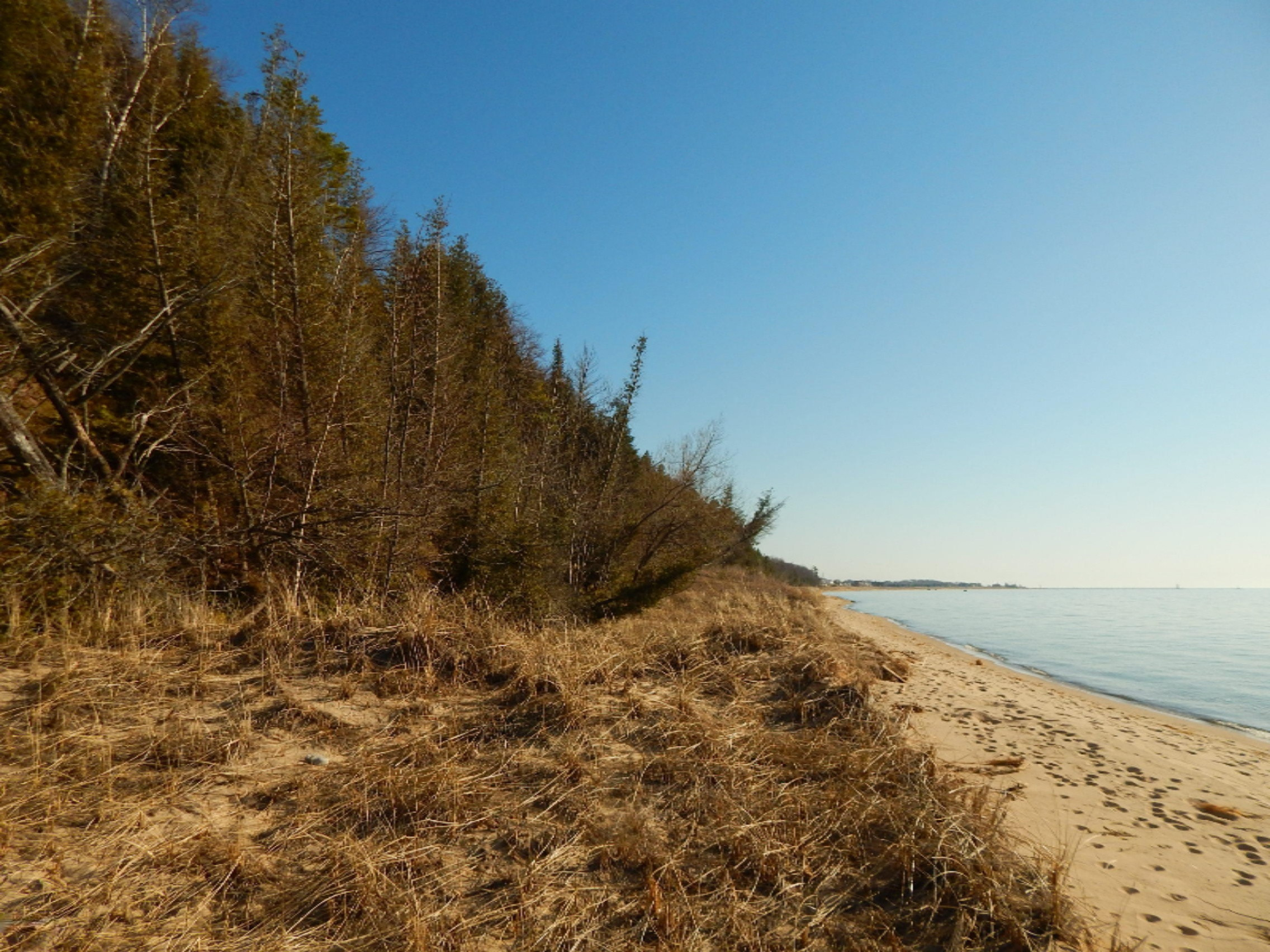 1412 Lakeshore Road Manistee, MI 49660 - Photo 75 of 94 DSCN4538