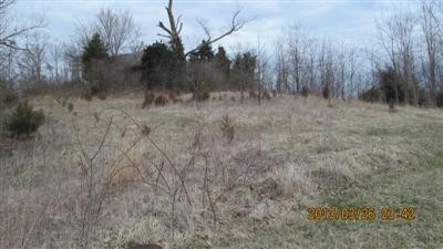 2 Bridgeport-Benson Road Frankfort, KY 40601 - Photo 3 of 10 Photo 3