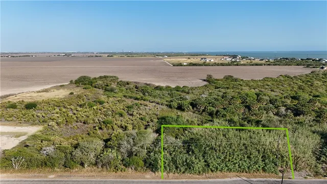 a view of a yard with plants