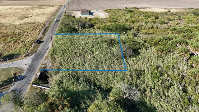 a view of a yard with plants