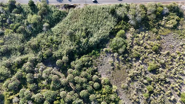a view of a road with a dry yard