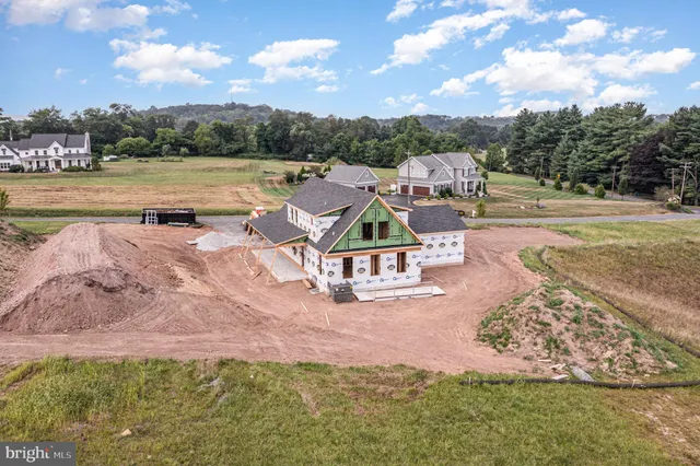 a view of a park with large trees