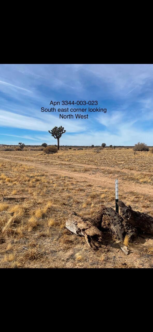 0 East 218th Street Lancaster, CA 93535 - Photo 12 of 13 IMG_6667