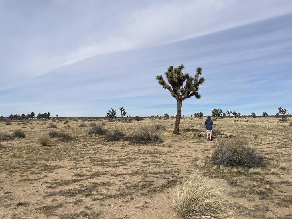 0 East 218th Street Lancaster, CA 93535 - Photo 3 of 13 IMG_6407