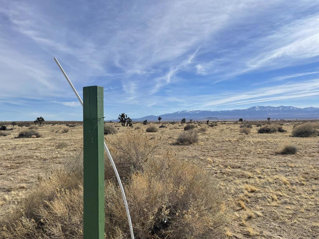 0 East 218th Street Lancaster, CA 93535 - Photo 4 of 13 IMG_6501