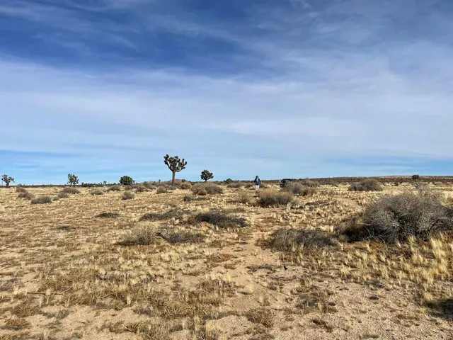 $13,900 | 0 East 218th Street, Lancaster, CA 93535