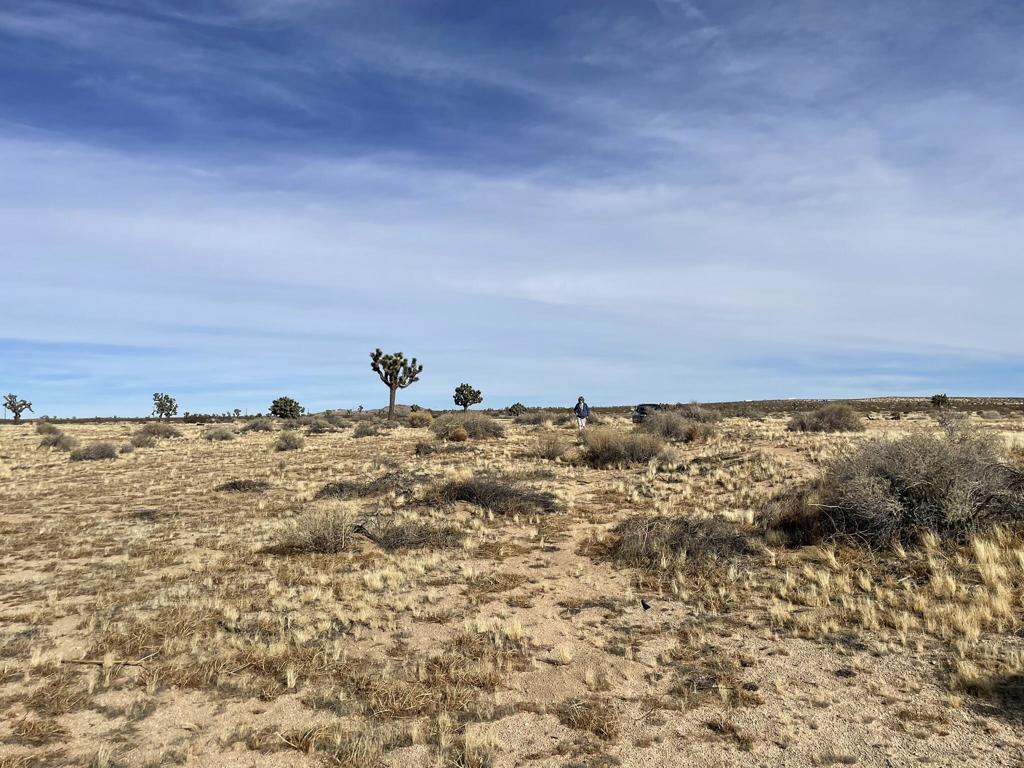 0 East 218th Street Lancaster, CA 93535 - Photo 5 of 13 IMG_6511