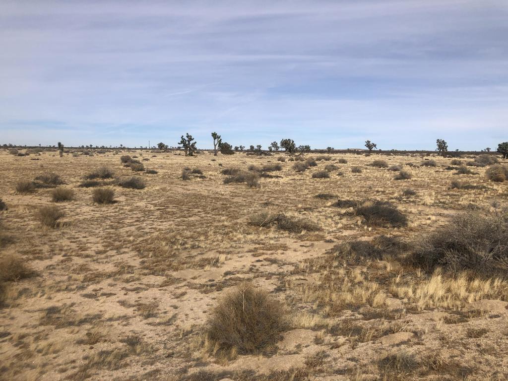 0 East 218th Street Lancaster, CA 93535 - Photo 9 of 13 IMG_7001