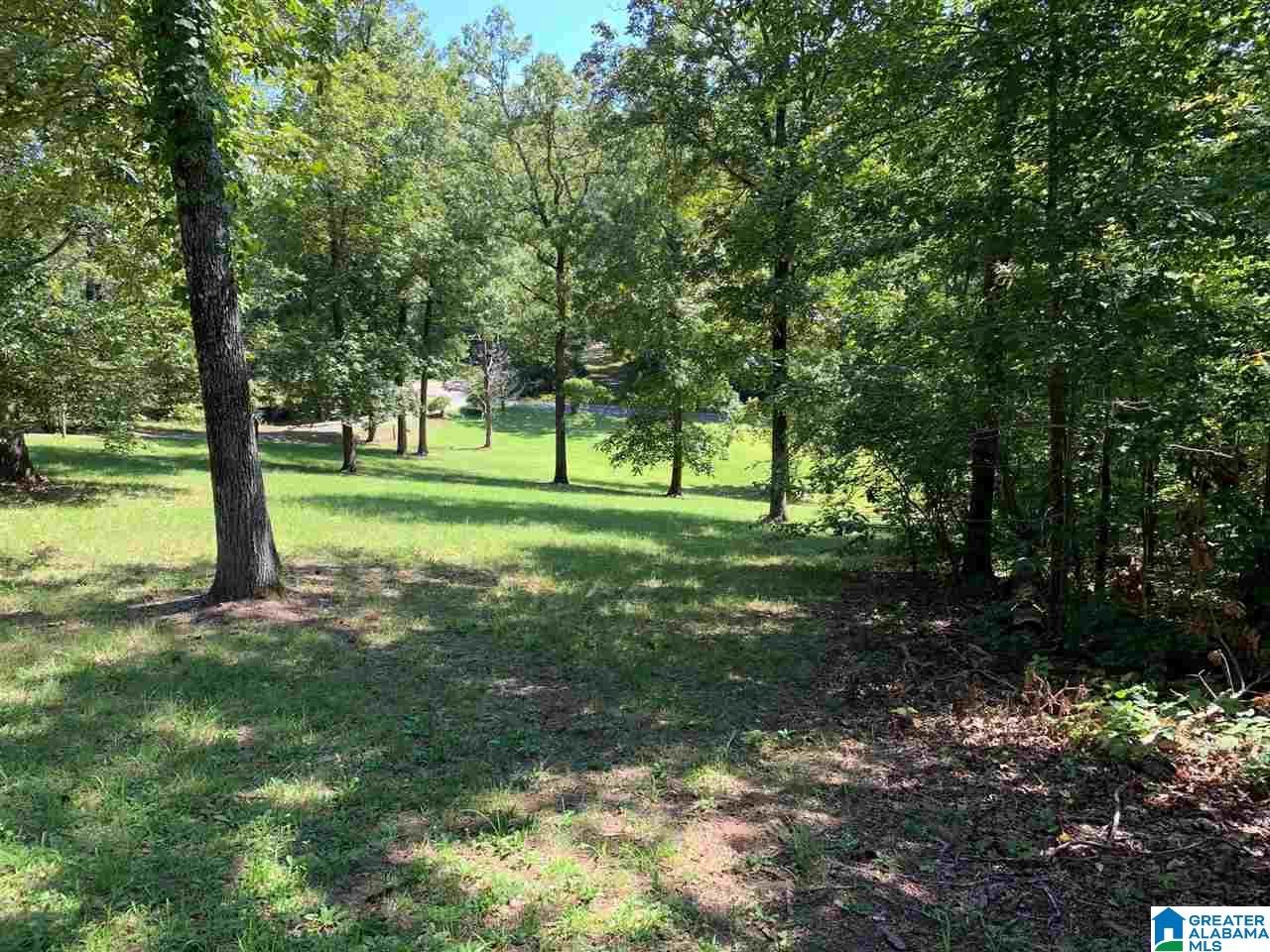 550 Pleasant Hills Road Odenville, AL 35120 - Photo 2 of 49