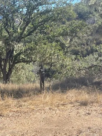 a view of a dry yard with wooden fence