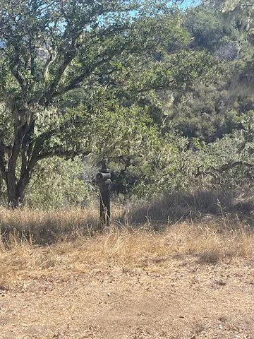a view of a dry yard with wooden fence