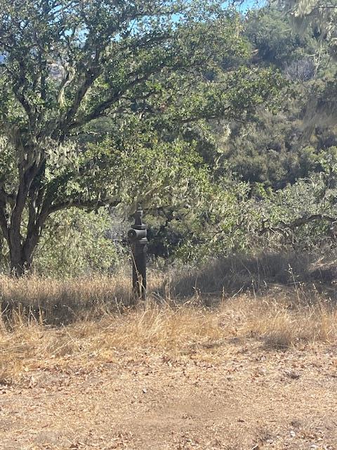 0 Cachagua Road Carmel Valley, CA 93924 - Photo 3 of 6 a view of a dry yard with wooden fence