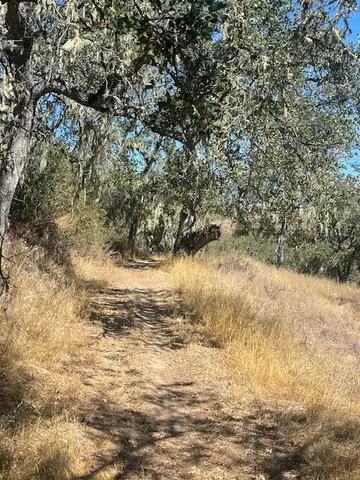 a view of ocean view