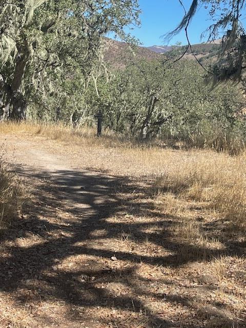 0 Cachagua Road Carmel Valley, CA 93924 - Photo 6 of 6