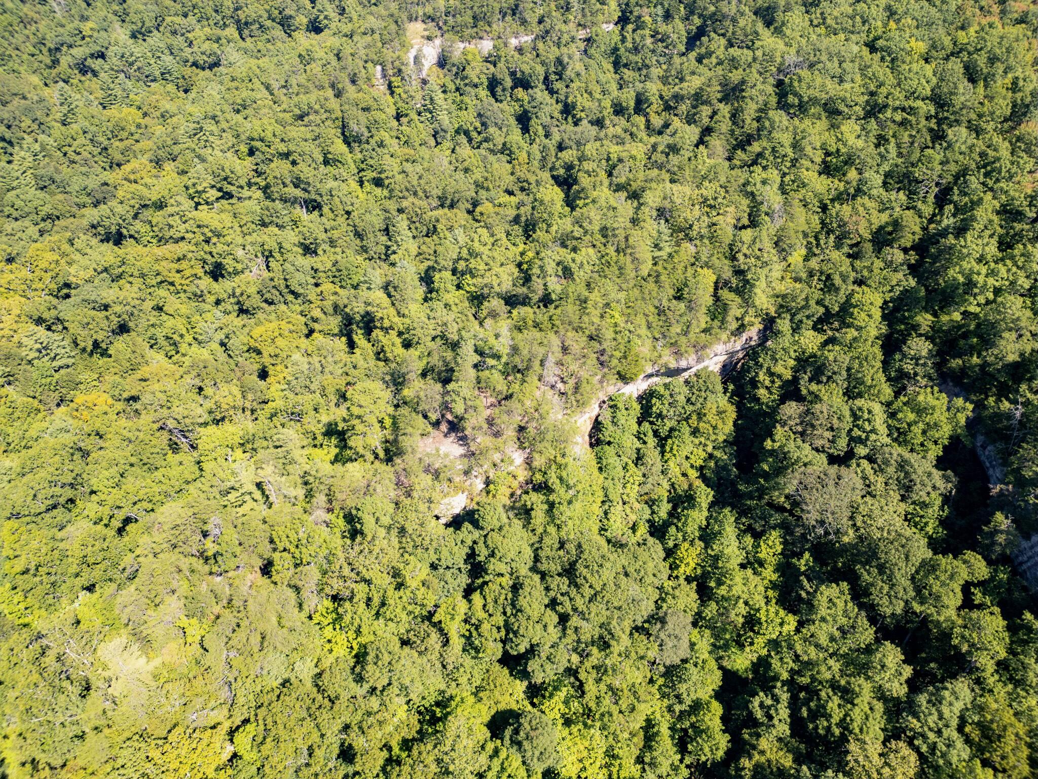 Highlands Of Rrg Lot 646 Highlands Of Rrg Trail Zoe, KY 41397 - Photo 12 of 19 DJI_0701-Enhanced-SR