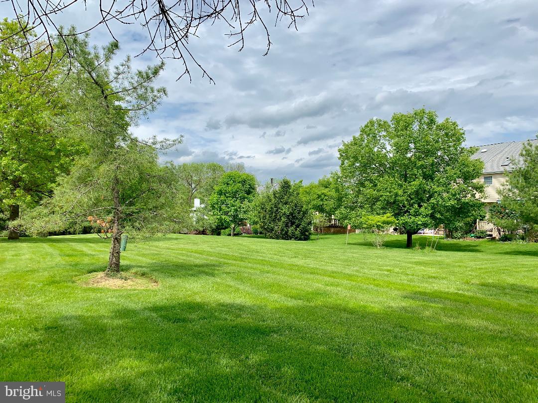 302 Marten Road Princeton, NJ 08540 - Photo 20 of 22 a backyard of a house with lots of green space and trampoline