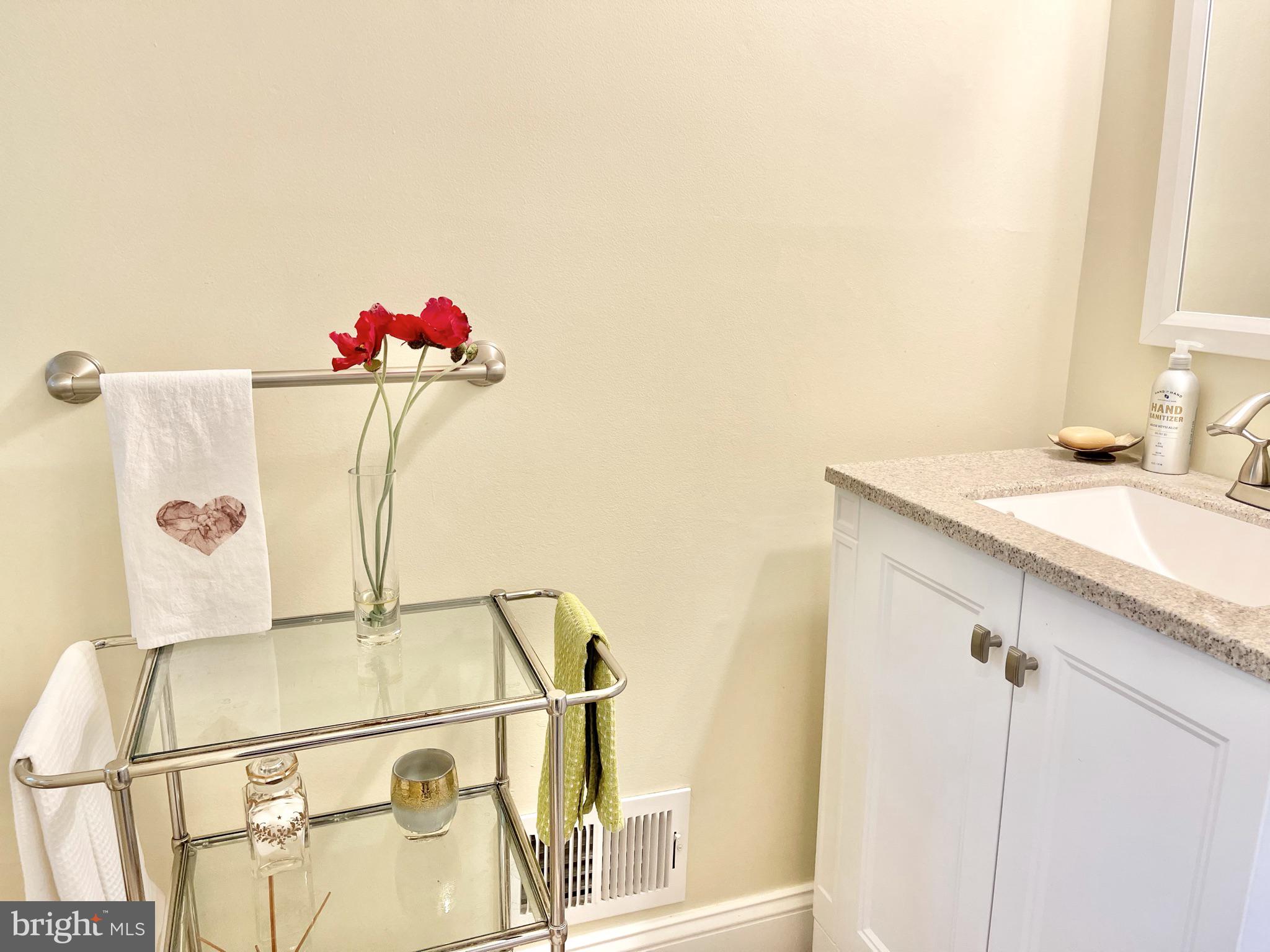 302 Marten Road Princeton, NJ 08540 - Photo 10 of 22 a bathroom with a sink and a mirror