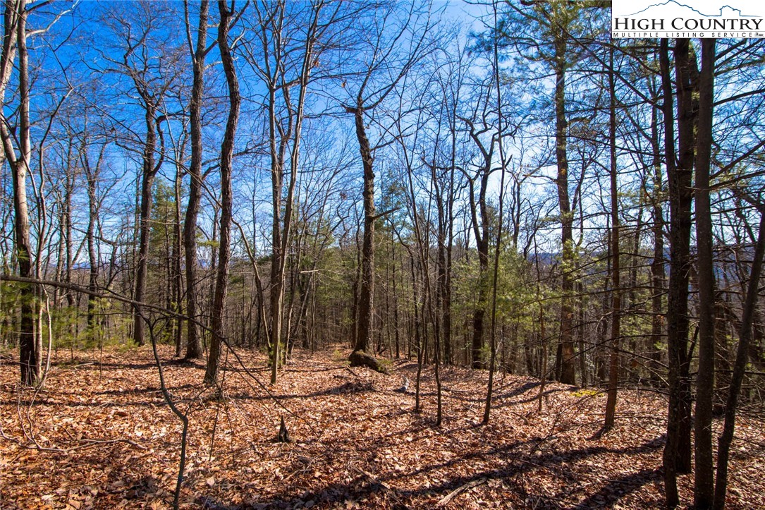 126-130 High Top Road Purlear, NC 28665 - Photo 10 of 49