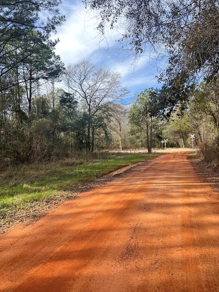 0 Cook Road Brewton, AL 36426 - Photo 1 of 4