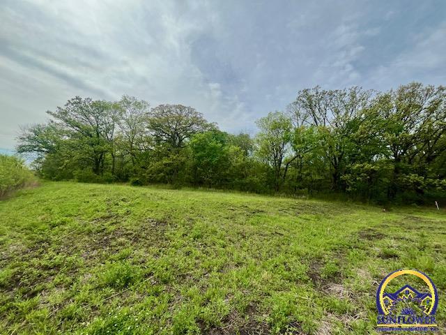 11.77 North Acres M/l N 972nd Road, Unit RDP 3 FDA 2 FDA 3 & F Lawrence, KS 66047 - Photo 28 of 38