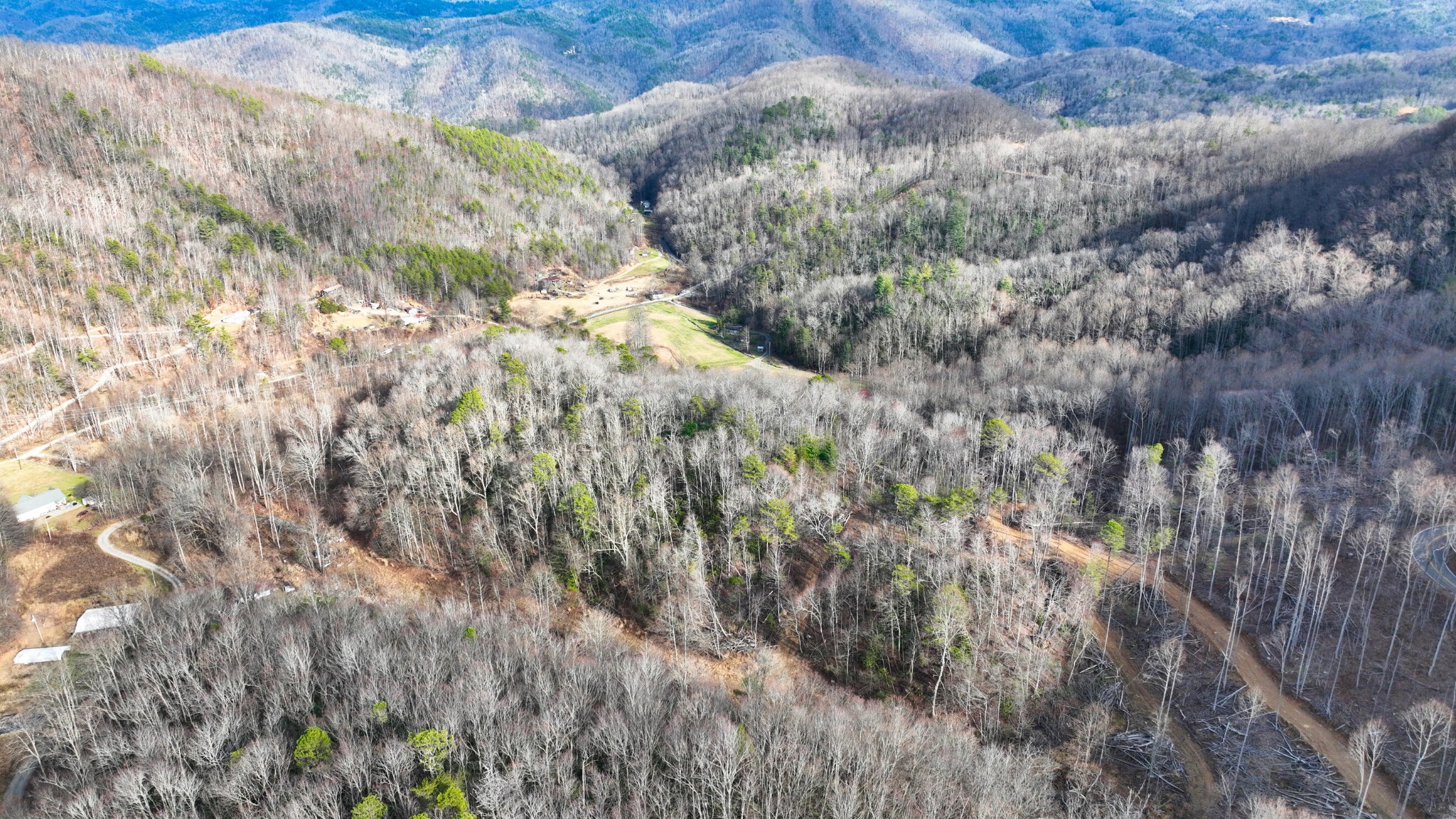 0 South S Highway Cosby, TN 37722 - Photo 2 of 11 a view of a yard
