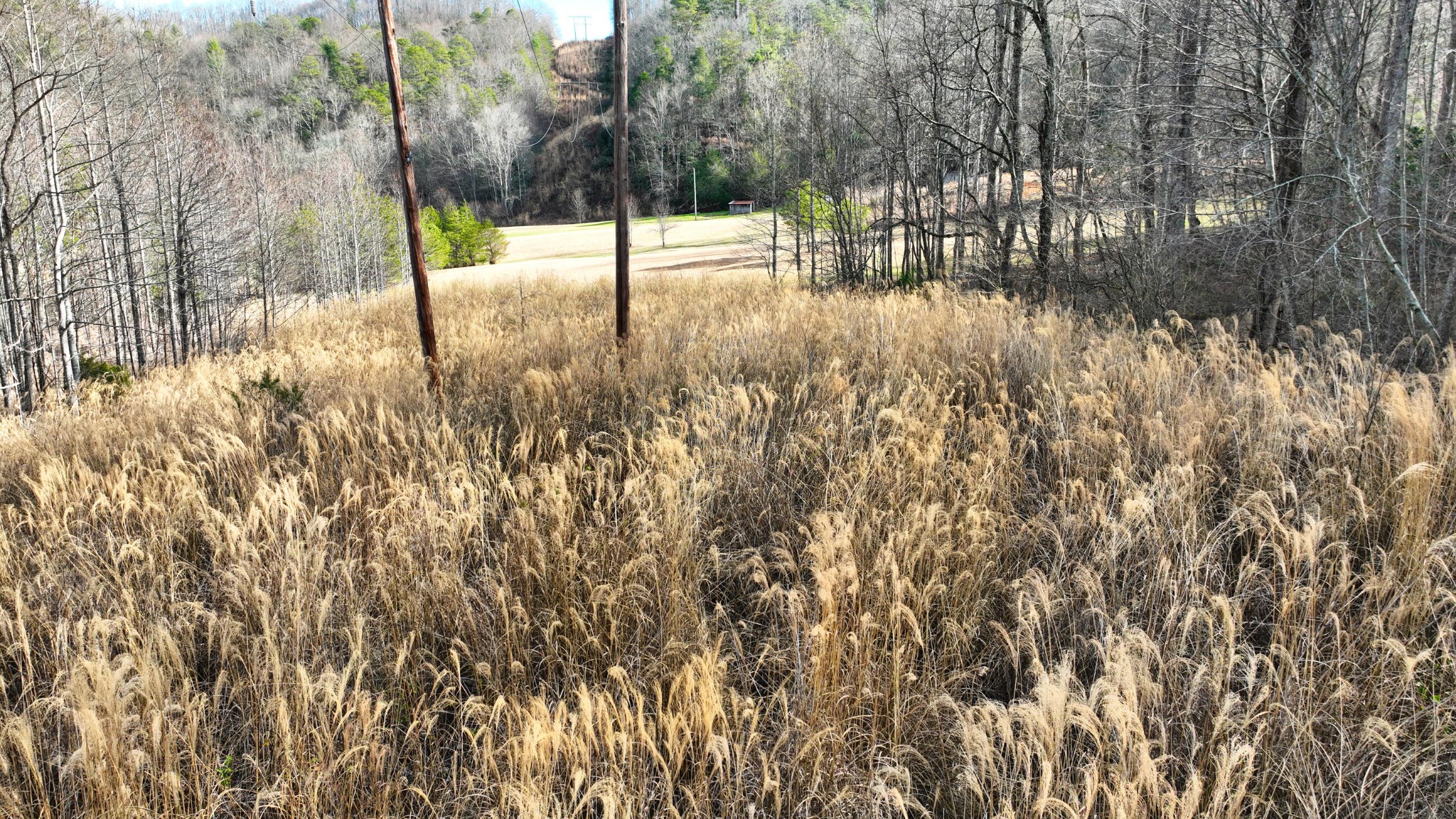 0 South S Highway Cosby, TN 37722 - Photo 10 of 11