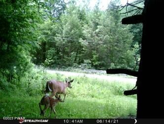 Creek Road Greentown, PA 18426 - Photo 13 of 16