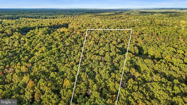 a view of a lots of trees from a balcony