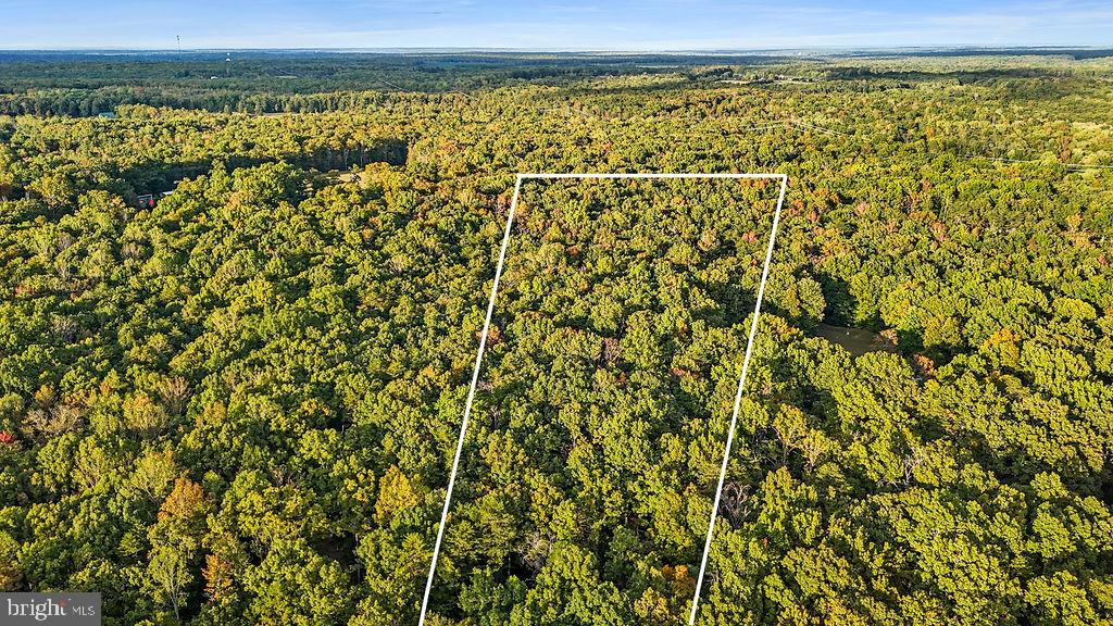 0 Old Plank Road Locust Grove, VA 22508 - Photo 1 of 31 a view of a lots of trees from a balcony