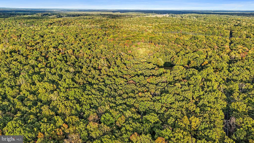 0 Old Plank Road Locust Grove, VA 22508 - Photo 11 of 31 a view of a room with a window