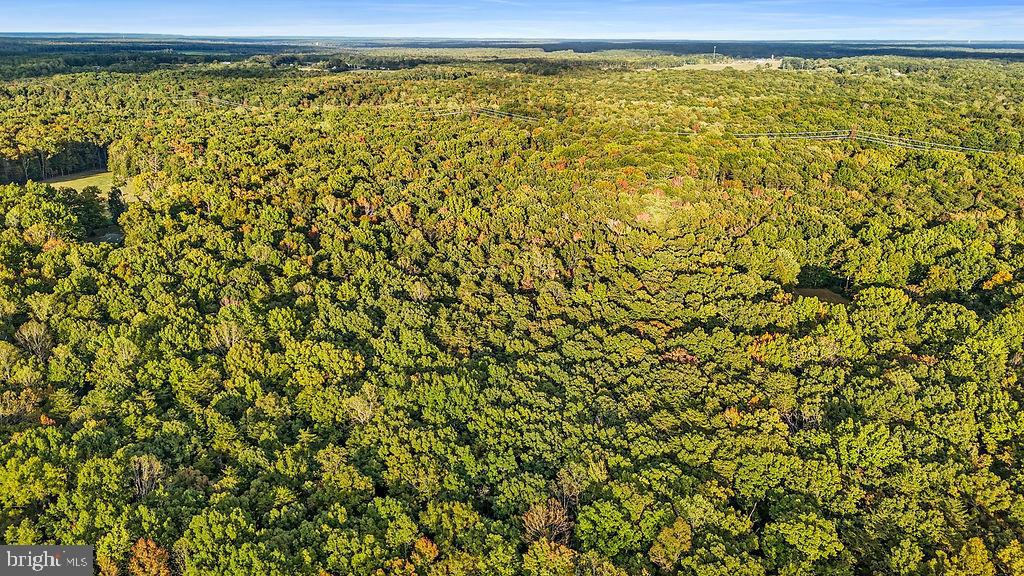 0 Old Plank Road Locust Grove, VA 22508 - Photo 12 of 31 a view of a room with a window