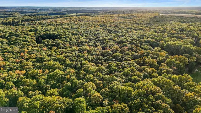 a view of a green field