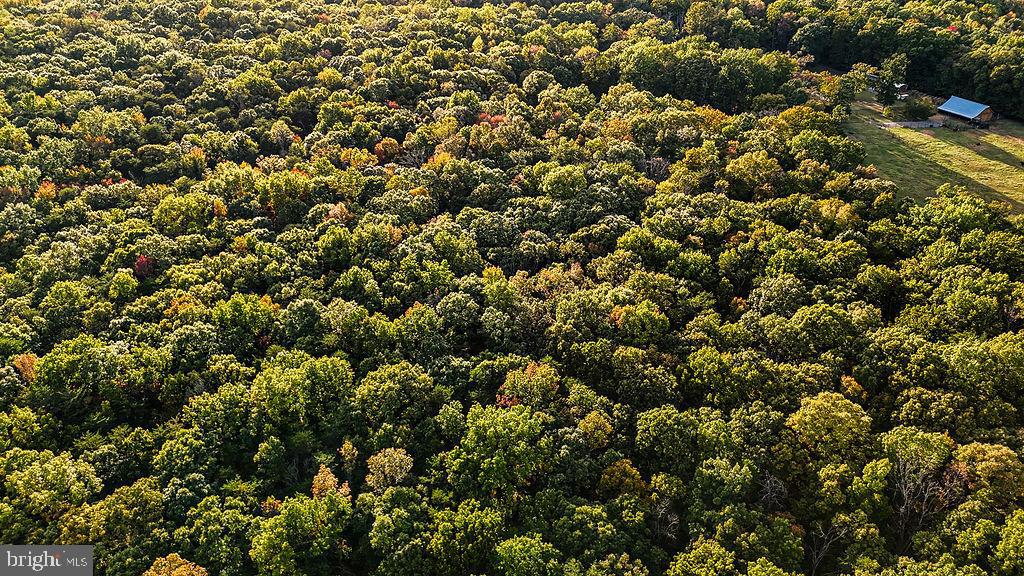 0 Old Plank Road Locust Grove, VA 22508 - Photo 18 of 31 view of a city