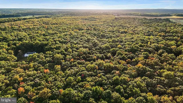 a view of city and ocean