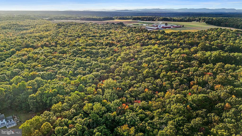 0 Old Plank Road Locust Grove, VA 22508 - Photo 20 of 31 a view of a large body of water with a building in the background