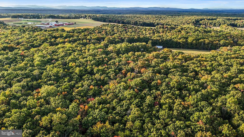 0 Old Plank Road Locust Grove, VA 22508 - Photo 21 of 31 a view of a field with an outdoor space