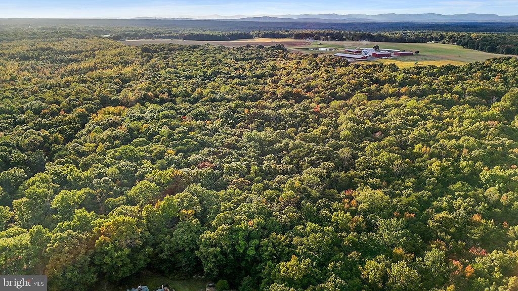 0 Old Plank Road Locust Grove, VA 22508 - Photo 22 of 31 a view of a large window
