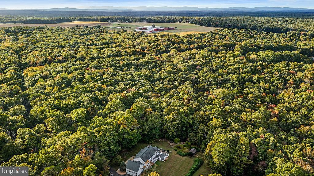 0 Old Plank Road Locust Grove, VA 22508 - Photo 23 of 31 a view of a yard with wooden fence