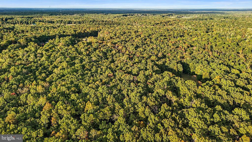 0 Old Plank Road Locust Grove, VA 22508 - Photo 26 of 31 a view of a window