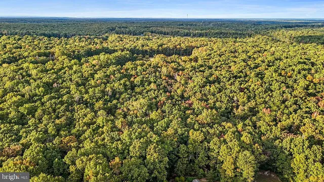 a view of a green field