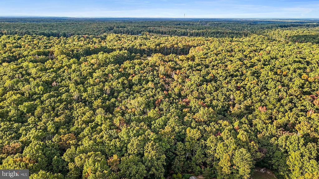 0 Old Plank Road Locust Grove, VA 22508 - Photo 3 of 31 a view of a green field