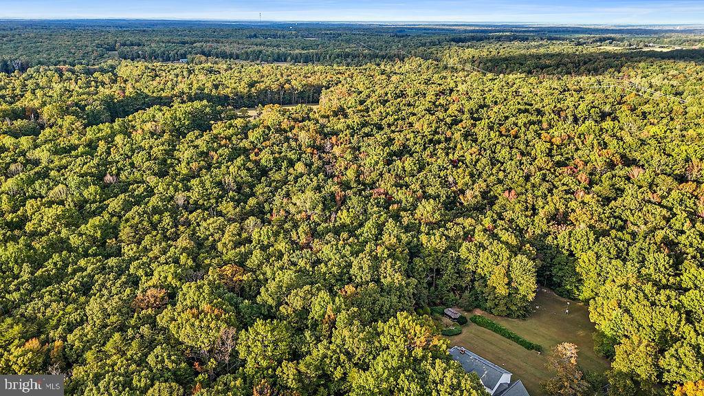 0 Old Plank Road Locust Grove, VA 22508 - Photo 4 of 31 a view of a lots of trees